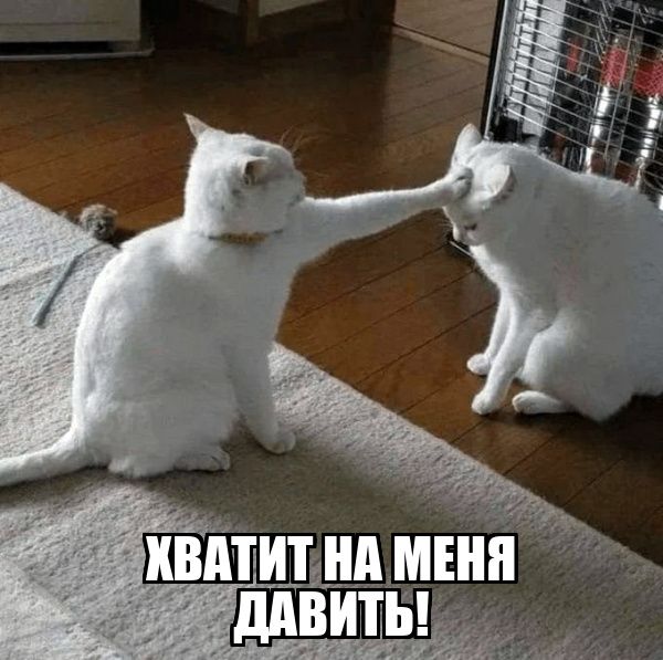 ХВАТИТ НА МЕНЯ ДАВИТЬ!