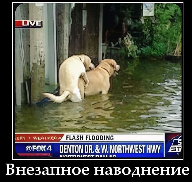 Внезапное наводнение