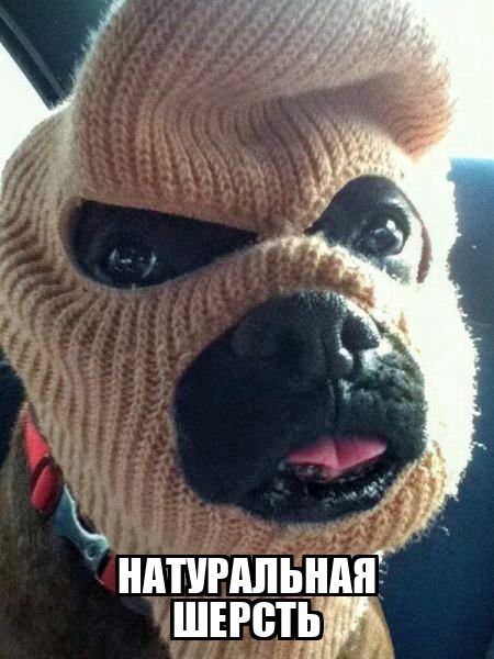 НАТУРАЛЬНАЯ ШЕРСТЬ