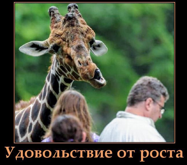 Удовольствие от роста