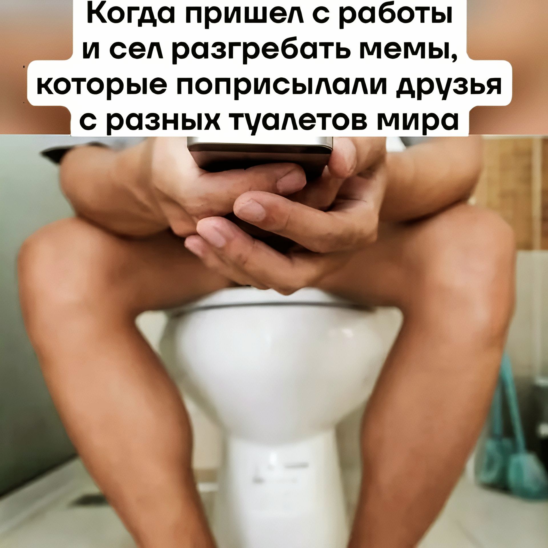 Когда пришел с работы и сел разгребать мемы, которые поприсылали друзья с разных туалетов мира
