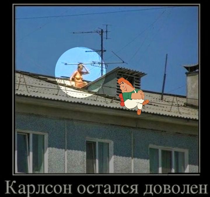 Карлсон остался доволен