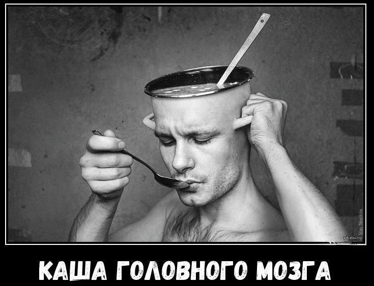 КАША ГОЛОВНОГО МОЗГА