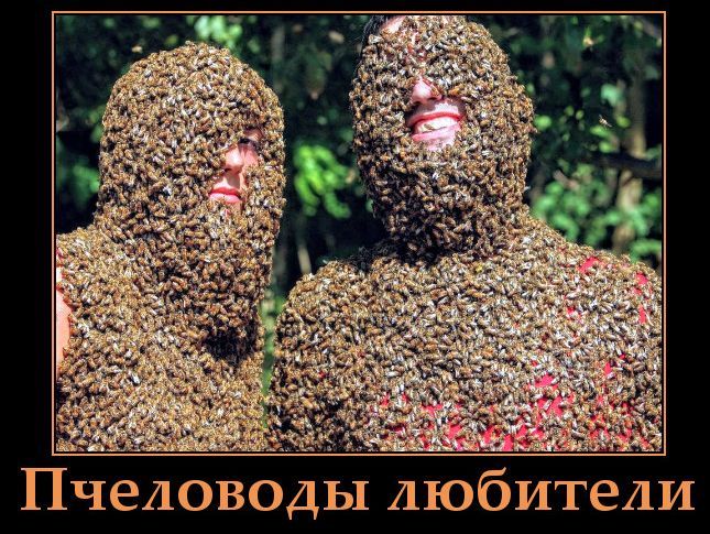 Пчеловоды любители