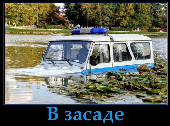 В засаде