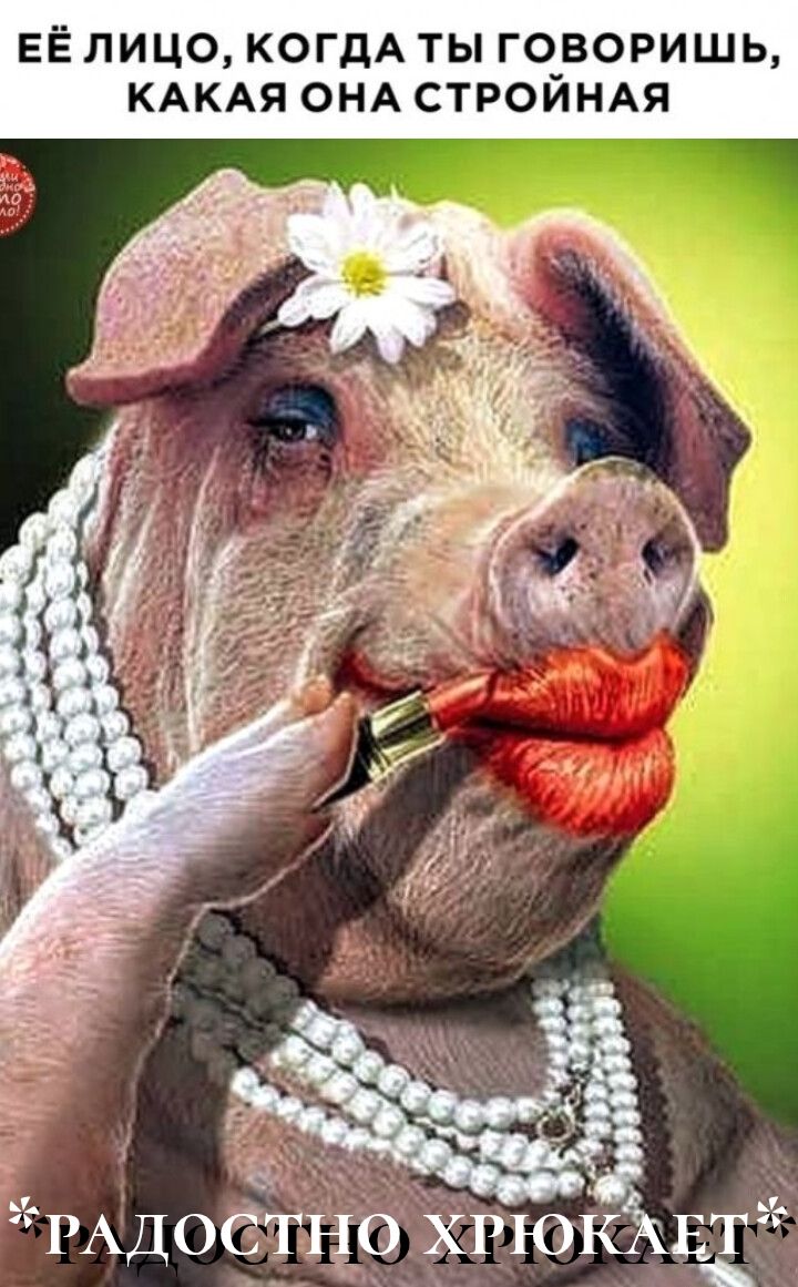 ЕЁ ЛИЦО, КОГДА ТЫ ГОВОРИШЬ, КАКАЯ ОНА СТРОЙНАЯ
РАДОСТНО ХРЮКАЕТ