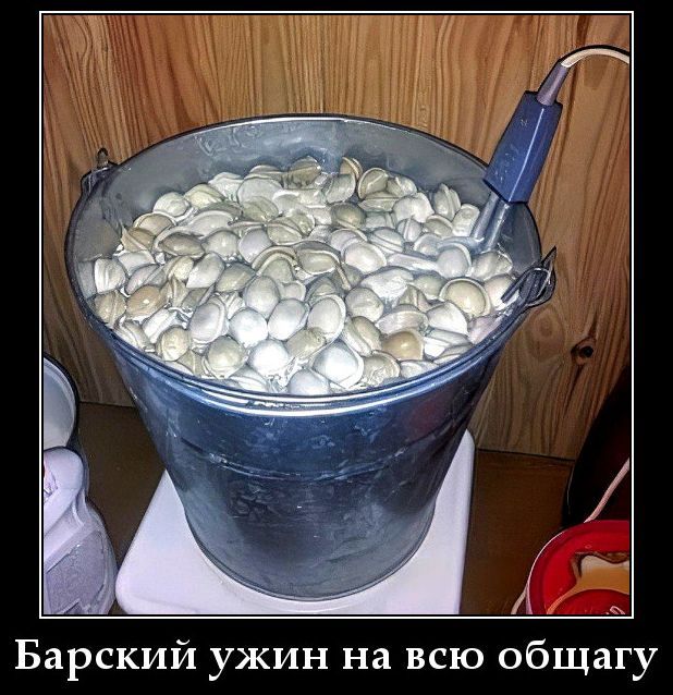 Барский ужин на всю общагу