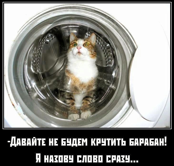 -Давайте не будем крутить барабан! Я назову слово сразу...