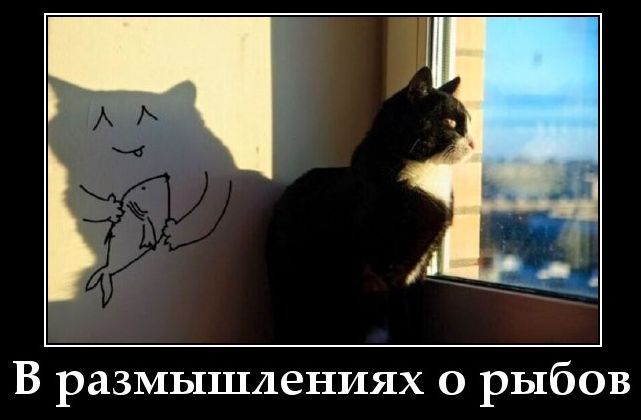 В размышлениях о рыбах