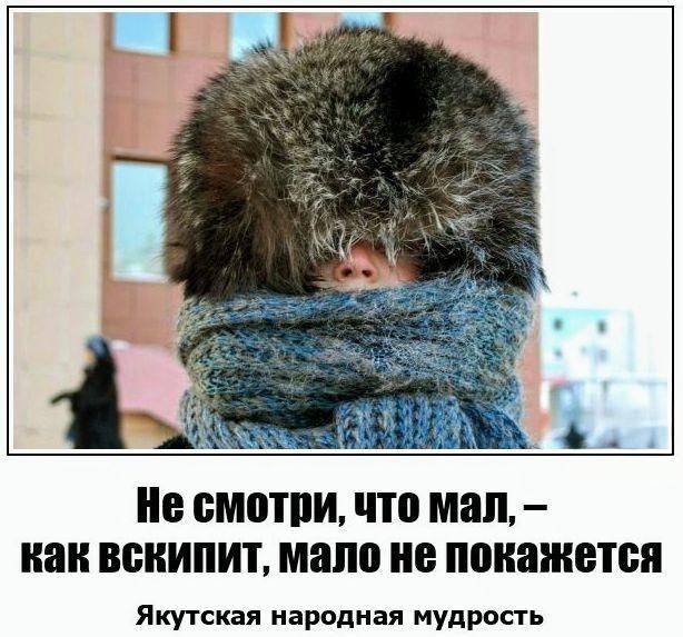Не смотри, что мал, – как вскпит, мало не покажется Якутская народная мудрость