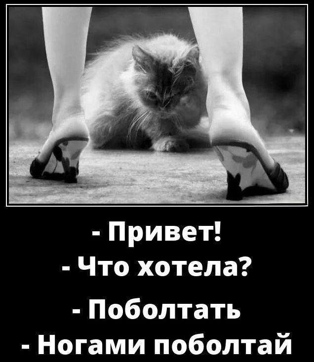 - Привет! - Что хотела? - Поболтал - Ногами поболтай