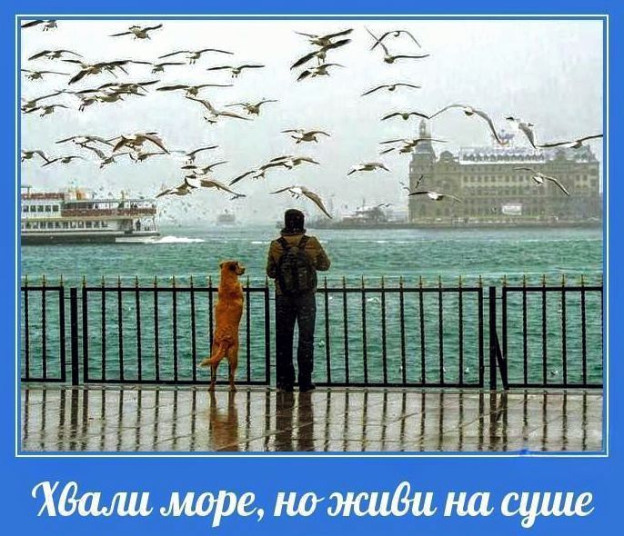 Хвали море, но живи на суше