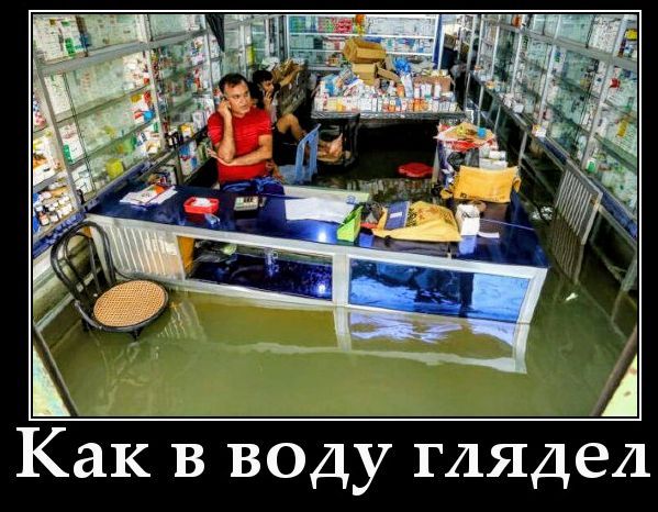 Как в воду глядел