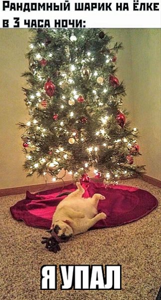 рандомный шарик на ёлке в 3 часа ночи:

Я УПАЛ
