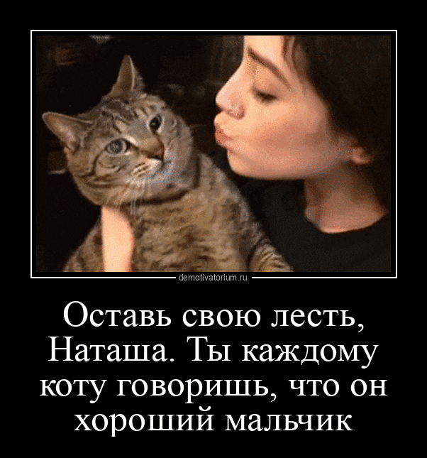 Оставь свою лесть, Наташа. Ты каждому коту говоришь, что он хороший мальчик