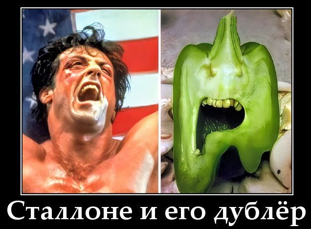 Сталлоне и его дублёр