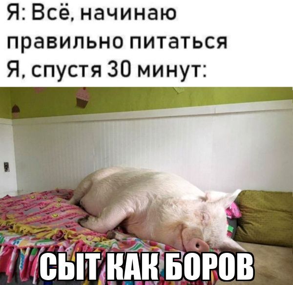 Я: Всё, начинаю правильно питаться Я, спустя 30 минут: СЫТ КАК БОРОВ