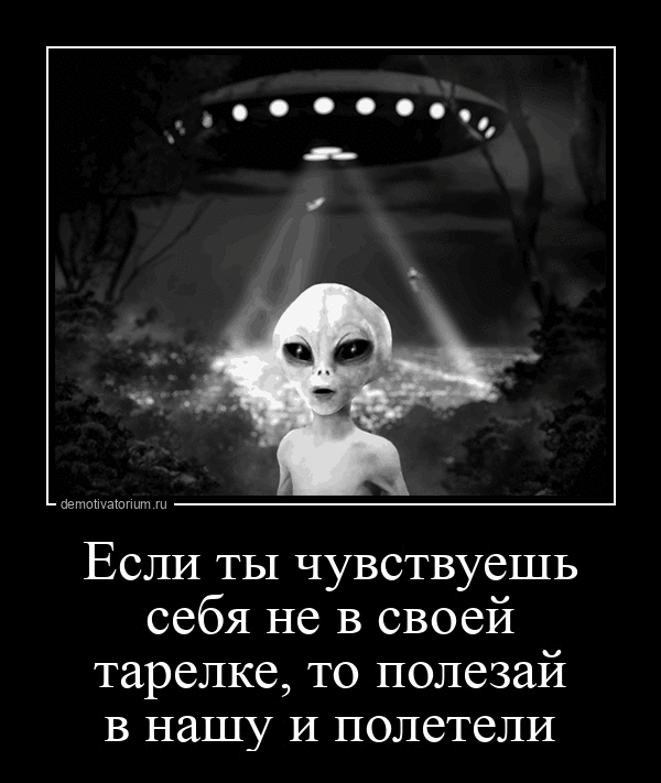 Если ты чувствуешь себя не в своей тарелке, то полезай в нашу и полетели