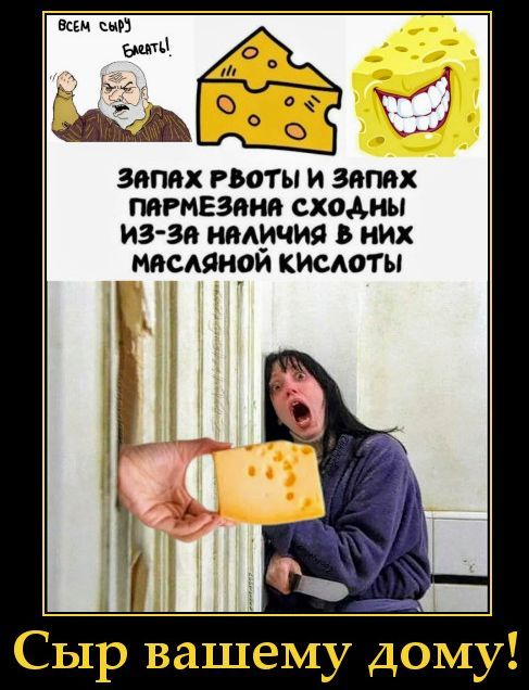 ЗАПАХ РВОТЫ И ЗАПАХ ПАРМЕЗАНА СХОЖИ ИЗ-ЗА НАЛИЧИЯ В НИХ МАСЛЯНОЙ КИСЛОТЫ
Сыр вашему дому!