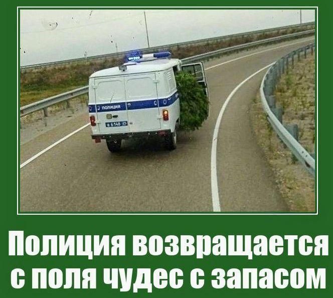Полиция возвращается с поля чудес с запасом