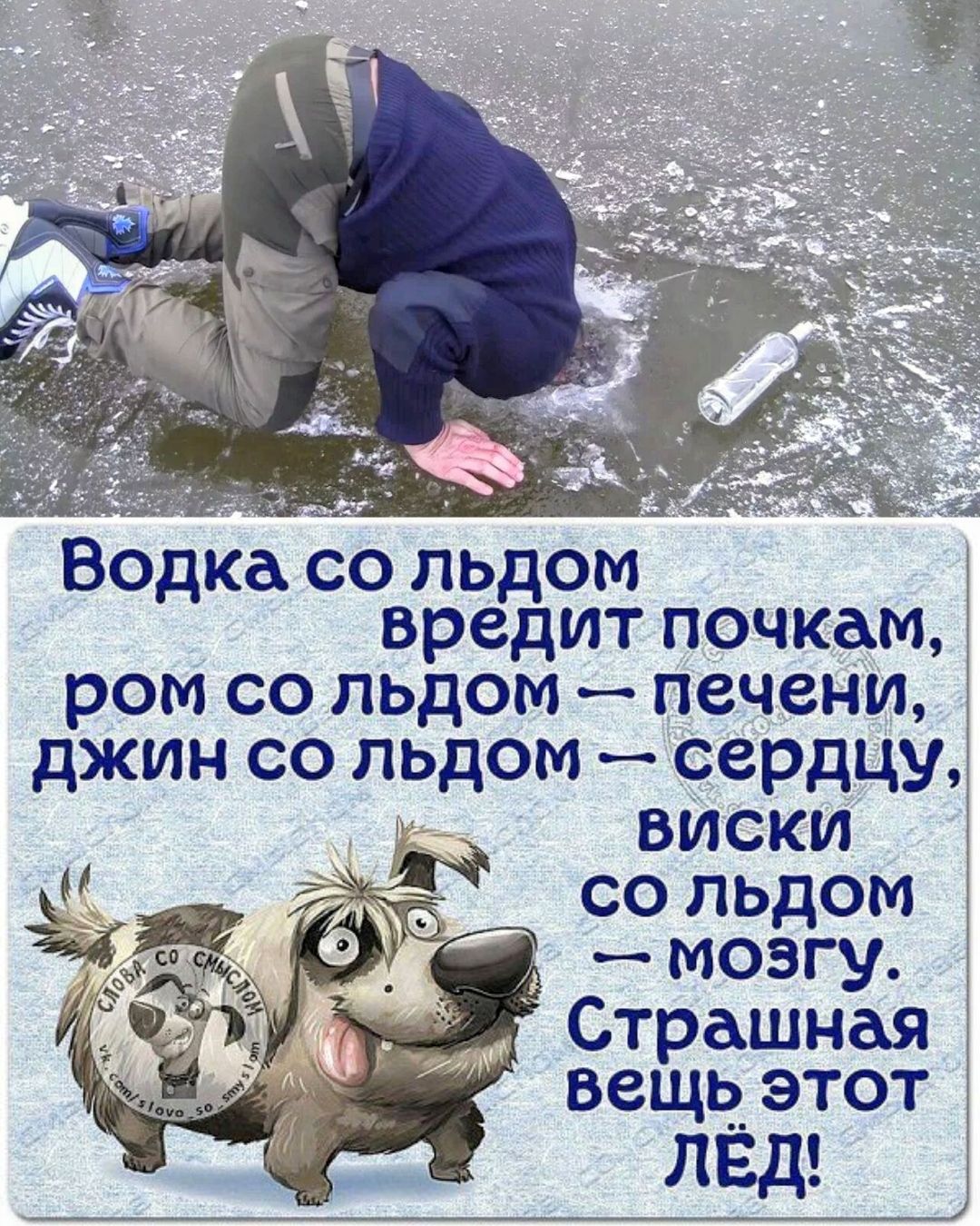 Водка со льдом вредит почкам, рот со льдом — печени, Джин со льдом — сердце, виски со льдом — мозгу. Страшная вещь этот ЛЁД!