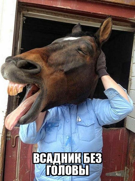 ВСАДНИК БЕЗ ГОЛОВЫ