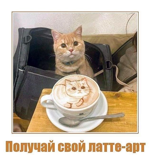 Получай свой латте-арт
