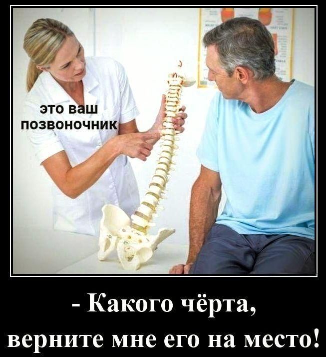 Это ваш позвоночник
- Какого чёрта, верните мне его на место!