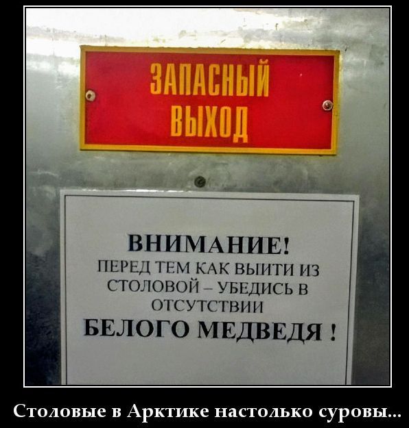 ЗАПАСНЫЙ ВЫХОД
ВНИМАНИЕ! ПЕРЕД ТЕМ КАК ВЫЙТИ ИЗ СТОЛОВОЙ – УБЕДИСЬ В ОТСУТСТВИИ БЕЛОГО МЕДВЕДЯ !
Столовые в Арктике настолько суровы...