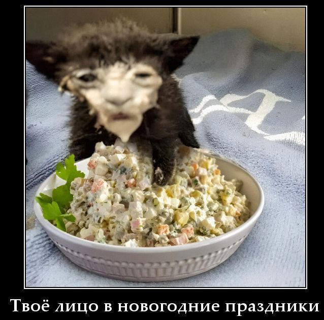 Твоё лицо в новогодние праздники