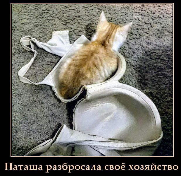 Наташа разбросала своё хозяйство