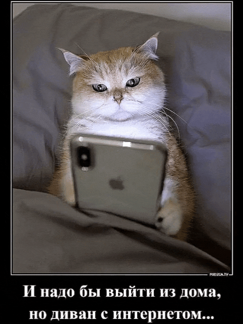 И надо бы выйти из дома, но диван с интернетом...