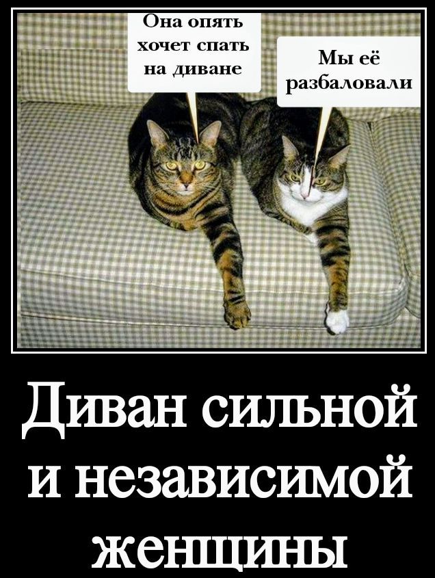Она опять хочет спать на диване
Мы её разбаловали
Диван сильной и независимой женщины