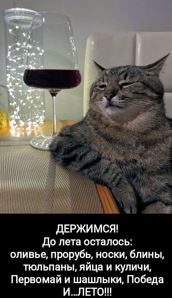 ДЕРЖИМСЯ! До лета осталось: оливье, прoрубь, носки, блины, тюльпаны, яйца и куличи, Первомай и шашлыки, Победа И…ЛЕТО!!!