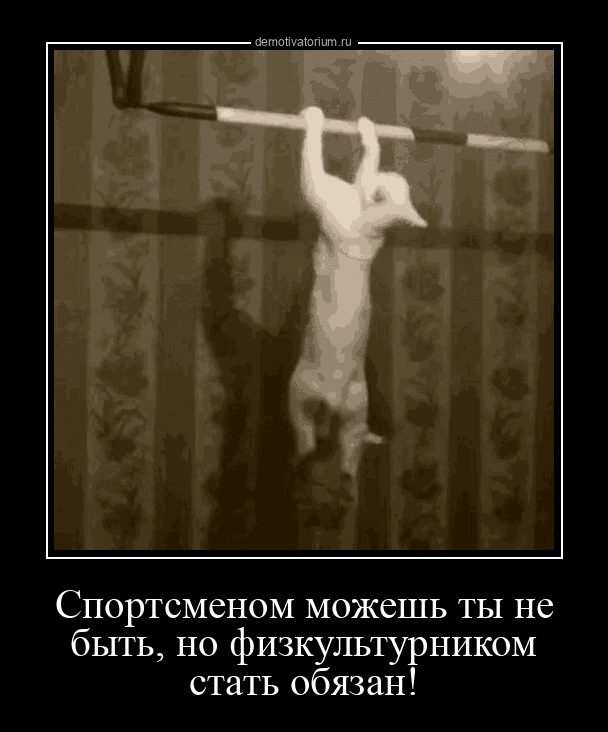 Спортсменом можешь ты не быть, но физкультурником стать обязан!