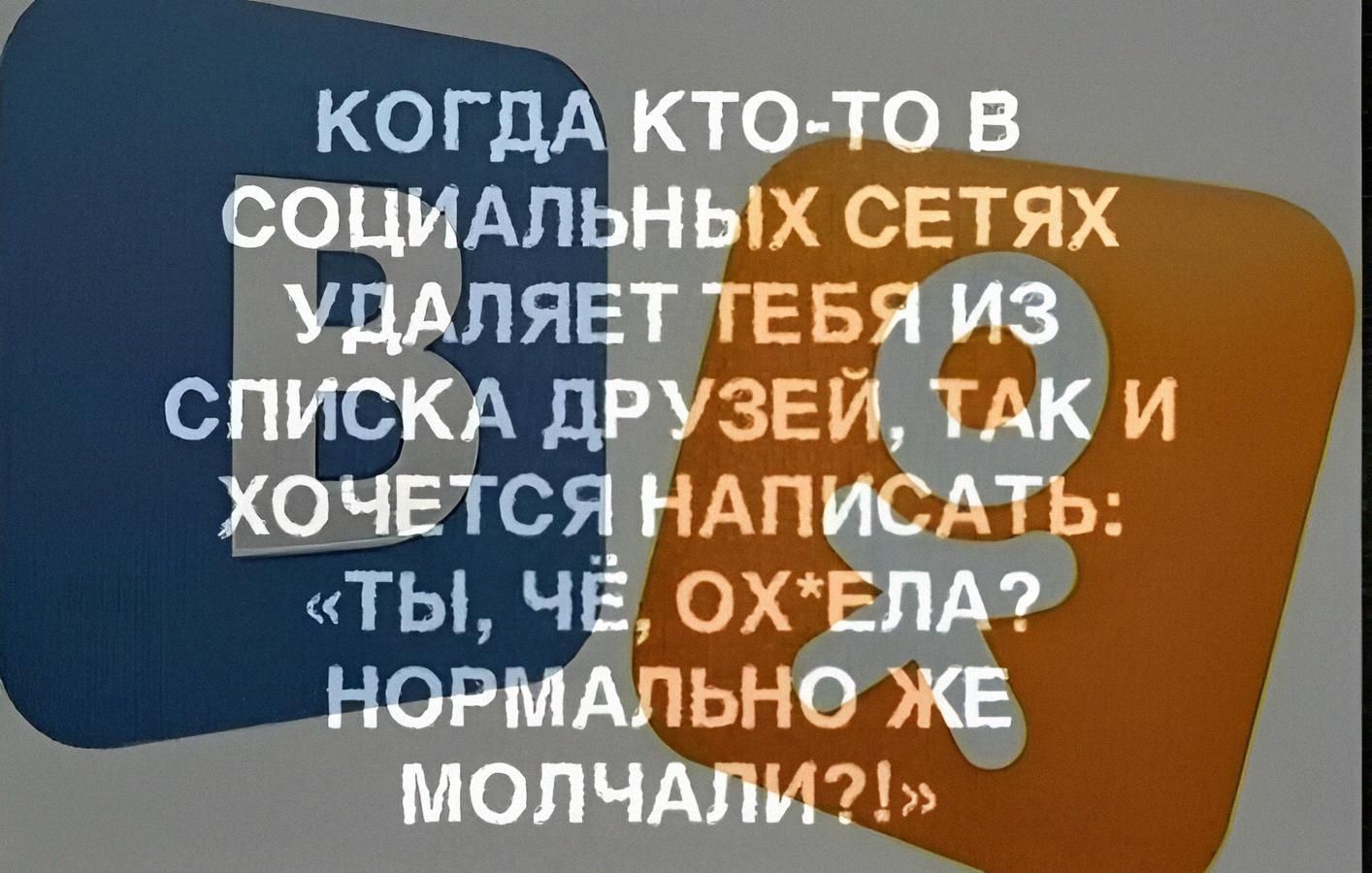 КОГДА КТО-ТО В СОЦИАЛЬНЫХ СЕТЯХ УДАЛЯЕТ ТЕБЯ ИЗ СПИСКА ДРУЗЕЙ, ТАК И ХОЧЕТСЯ НАПИСАТЬ: «ТЫ, ЧЁ, ОХ*ЕЛА? НОРМАЛЬНО ЖЕ МОЛЧАЛИ?!»