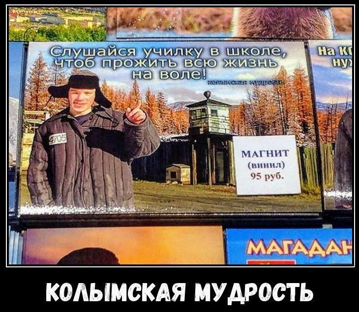 Слушайся училку в школе, чтоб прожить всю жизнь на воле! Магнит (винты) 95 руб. КОЛЫМСКАЯ МУДРОСТЬ