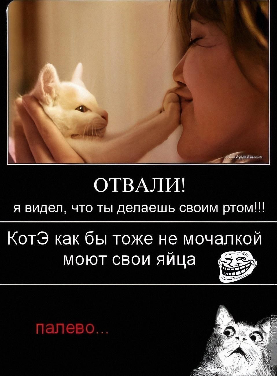 ОТВАЛИ! Я видел, что ты делаешь своим ртом!!! КотЭ как бы тоже не мочалкой моют свои яйца палево...