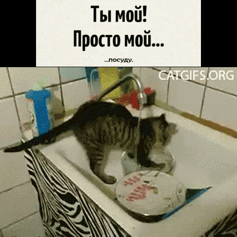 Ты мой! Просто мой... ...посуду.