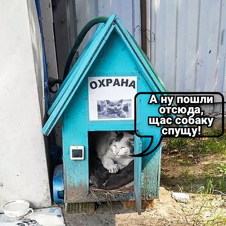 ОХРАНА
А ну пошли отсюда да, щас собаку спущу!