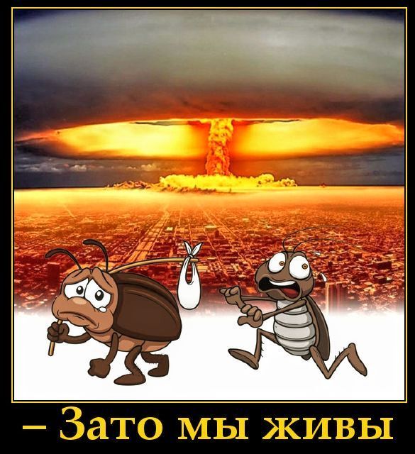 — Зато мы живы