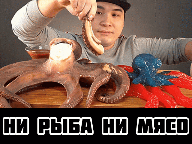 НИ РЫБА НИ МЯСО