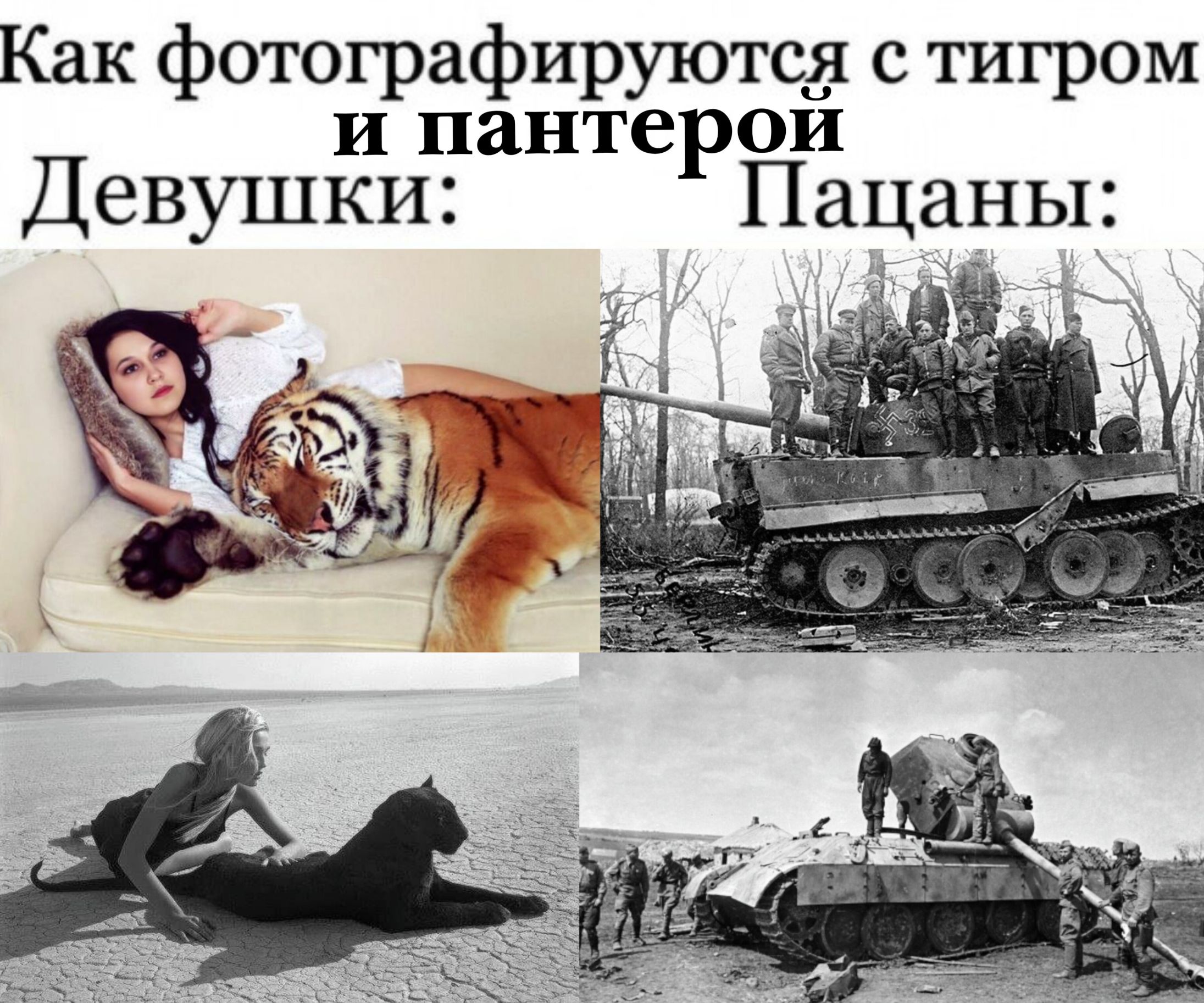 Как fotografируются с тигром и пантерой Девушки: Пацааны: