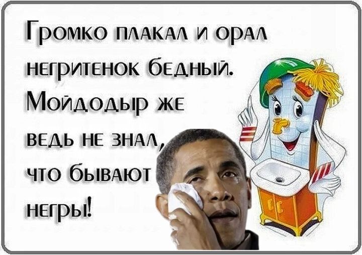 Громко плакал и орал негритёнок бедный. Мойдодыр же ведь не знал, что бывают негры!
