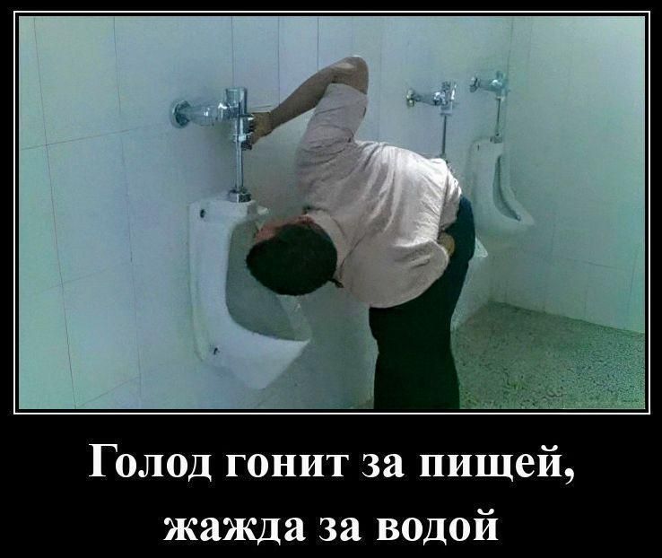 Голод гонит за пищей, жажда за водой