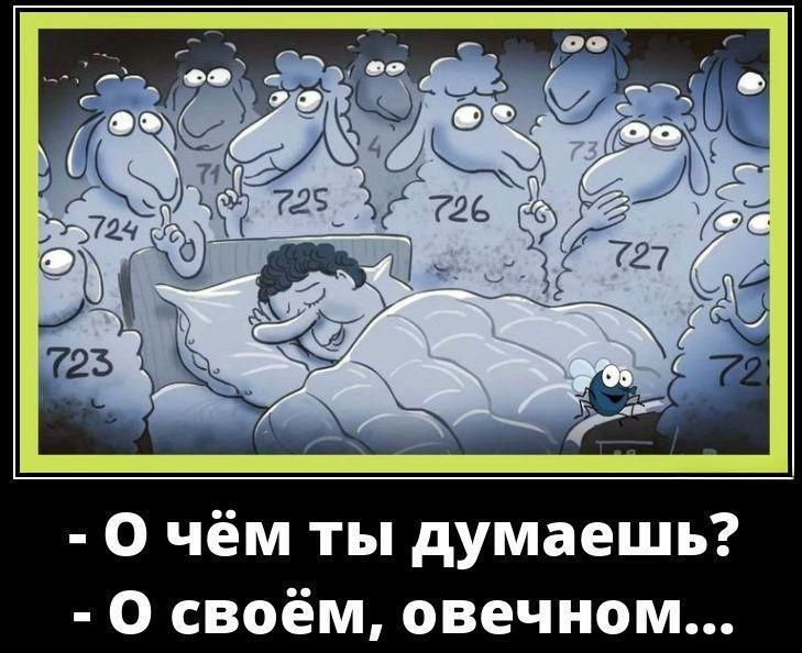 - О чём ты думаешь?
- О своём, овечном...