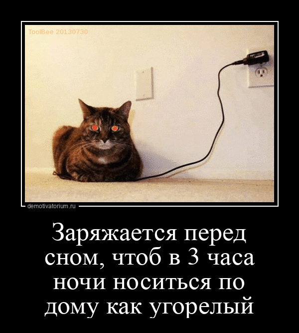 Заряжается перед сном, чтоб в 3 часа ночи носиться по дому как угорелый