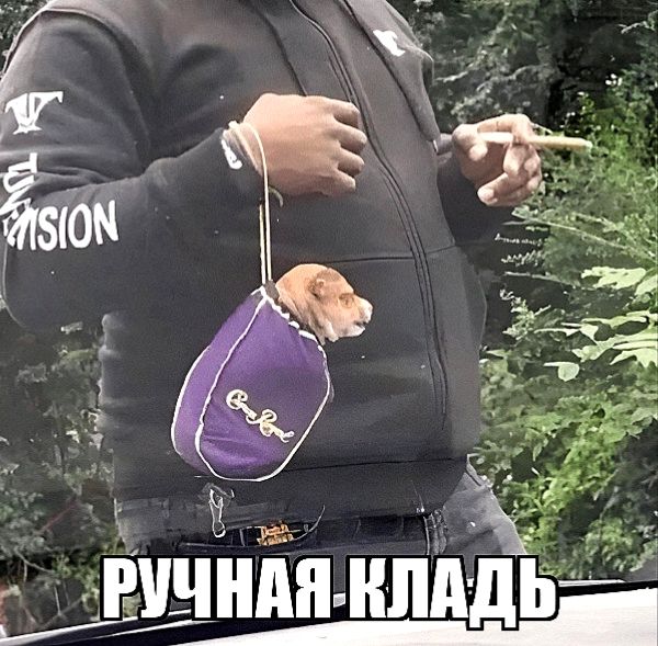 РУЧНАЯ КЛАДЬ