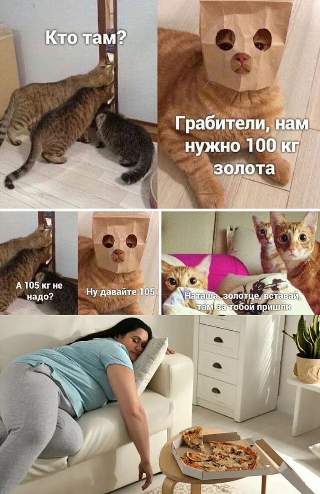 Кто там? Грабители, нам нужно 100 кг золота А 105 кг не надо? Ну давайте 105 Нашли золото, вставай — там за тобой пришли