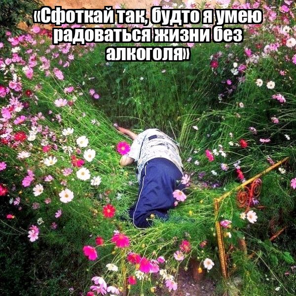 Сфоткай так, будто я умею радоваться жизни без алкоголя